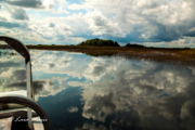 Photo by Lara Marie Rauschert-Mcfarland